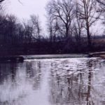Duck Creek 2003