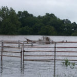 flood 2007 duck creek